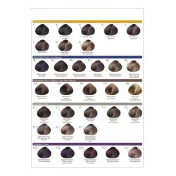 Kit 6 Tinturas Professional Color Issue 70gr + Activador