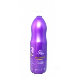 Shampoo + Mascara Ph Acido Con Proteína De Seda X 1800ml 722