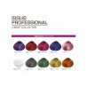 Tintura Issue Professional Cibercolor X70g