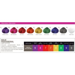 Tintura Issue Professional Cibercolor X70g Kit x 6 Unidades