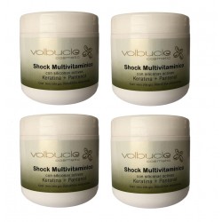 Shock Multivitaminico  x 200 gs Kit x 4 unidades