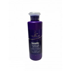 Shampoo Matizador Belanova Desamarillador Con Keratina 250ml