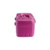 Maletin Porta Esmaltes Manicuria 34 Esmaltes + Acetonero Dompel