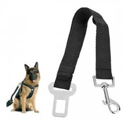 Cinturon Seguridad Perro Mascota Auto Reglamentario