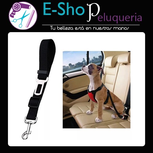 Cinturon Seguridad Perro Mascota Auto Reglamentario
