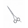 Tijera de Corte Profesional Filo Navaja Eurostil 6 Pulgadas Evolut Line 7102