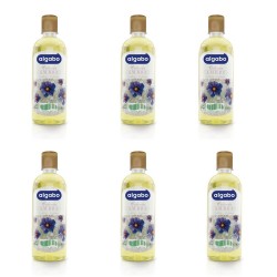 Colonia Perfume Ambre Algabo x 500ml Kit x 6 Unidades