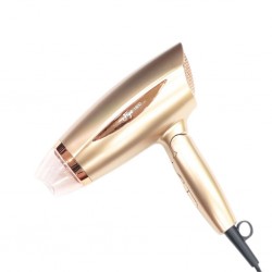 Secador de Pelo Plegable Figo 1800