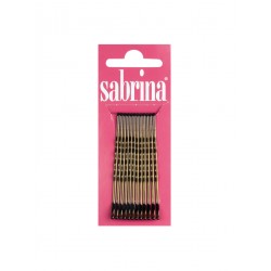 Clips Cabello De Acero Hebilla Eurostil Grande X 12 Unidades 1856