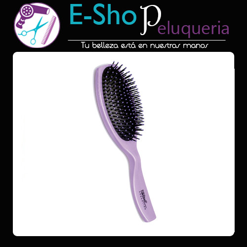 Cepillo Neumatico Oval Pua Plástico Eurostil 50154