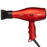 Secador de Pelo Profesional Taiff Fox Ion 3 2200w