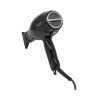 Secador de Pelo Profesional Taiff Fox Ion Tc 2100w
