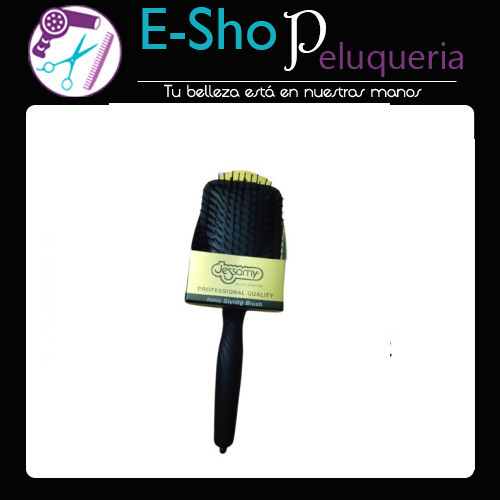 Cepillo Profesional Paleta Cerdas Ionicas Jessamy C7527