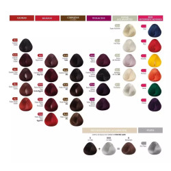 Tintura Coloracion x 2 unidades x 60 grs Kleno