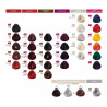 Tintura Coloracion x 2 unidades x 60 grs Kleno